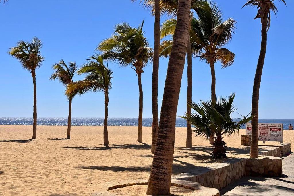 Casa Gallo, Heated Pool, Exclusive Beach & Great Location Cabo San Lucas Exteriör bild